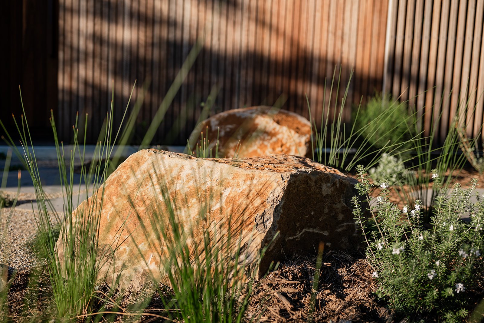 Fig Landscapes Garden Design and Build_Byron Bay117.jpg