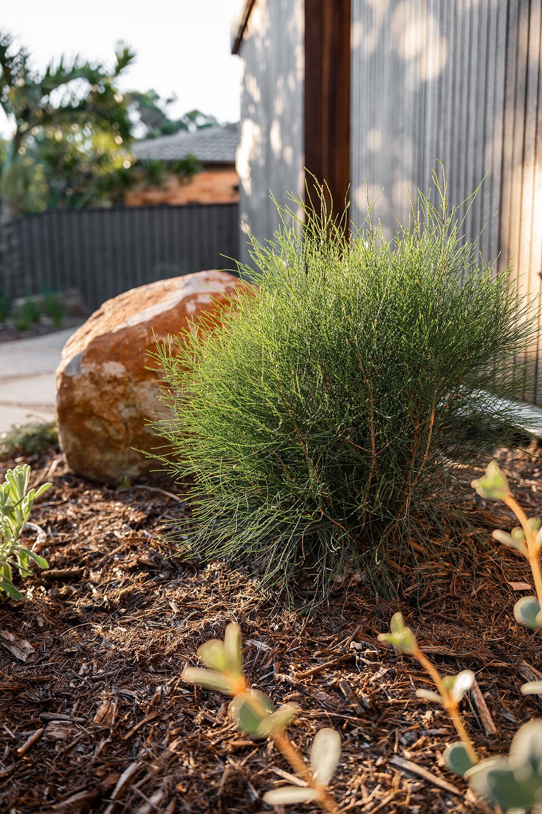 Fig Landscapes Garden Design and Build_Byron Bay118.jpg