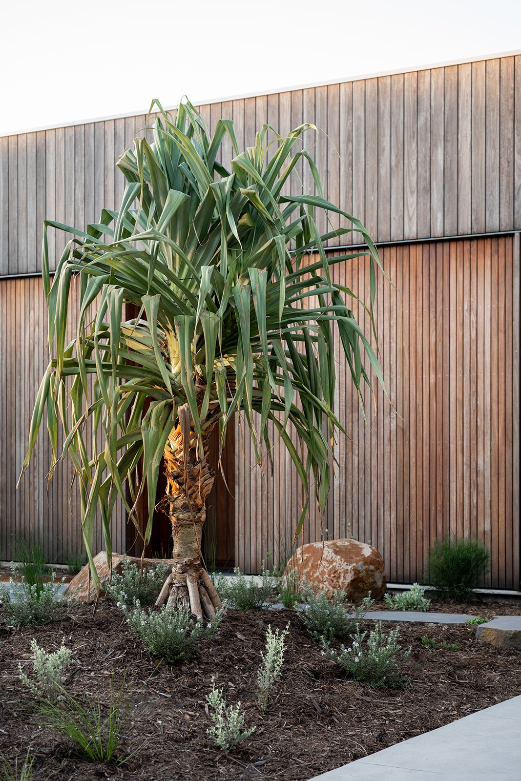 Fig Landscapes Garden Design and Build_Byron Bay127.jpg