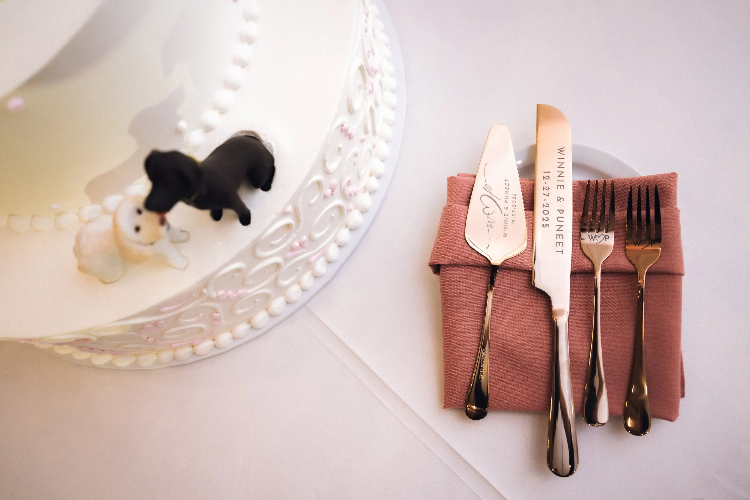 Winnie and Puneet Sneak Peek-67.jpg