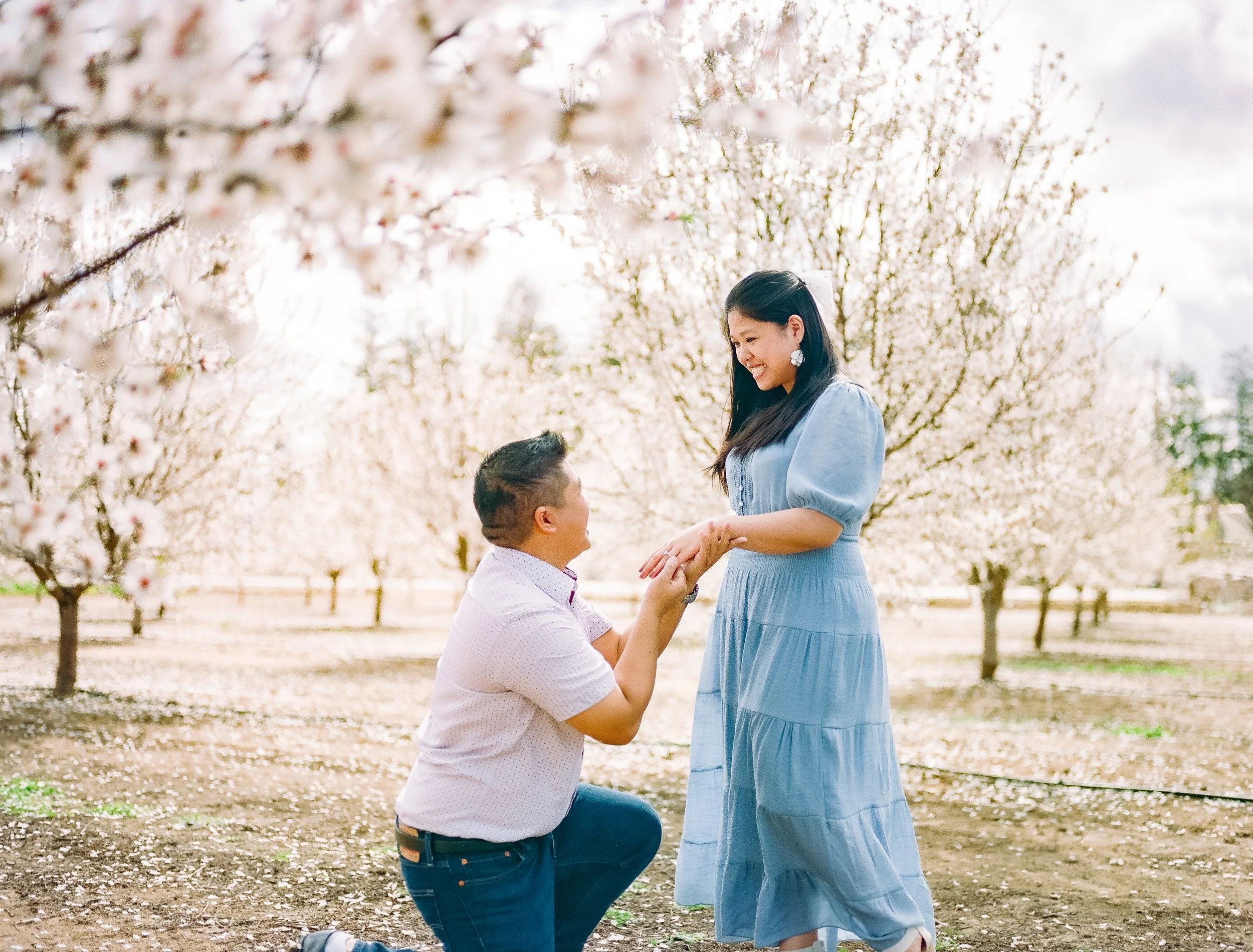 Almond Orchard Film-30.jpg