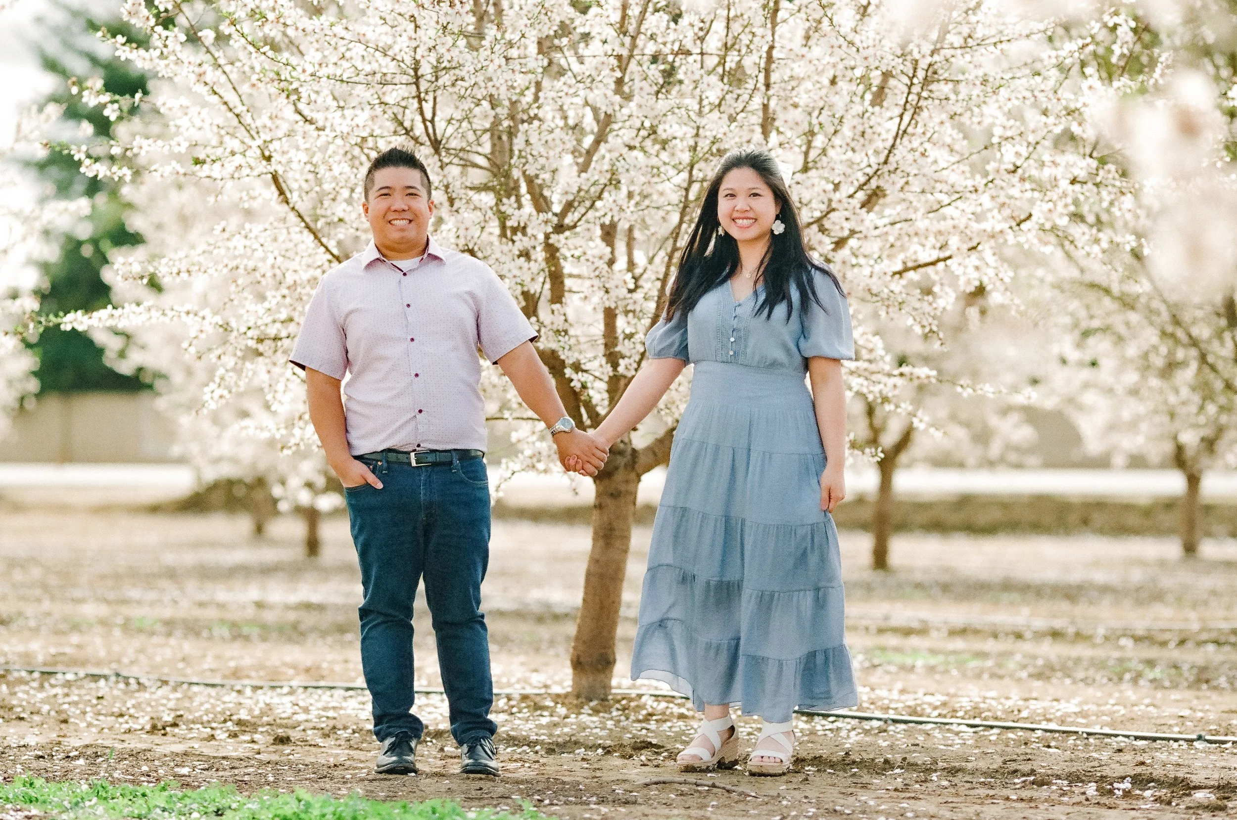 Almond Orchard Film-3.jpg