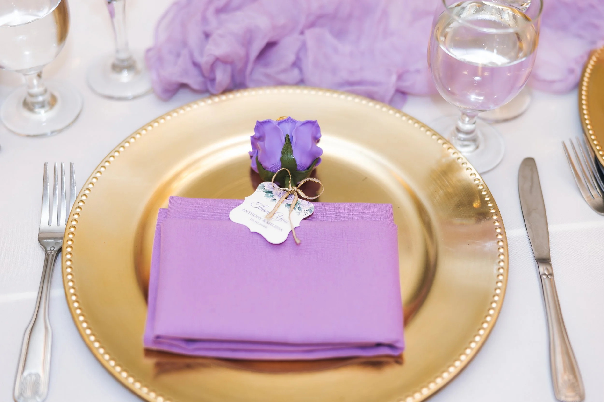 Sneak Peek- Melissa and Anthony-41.jpg