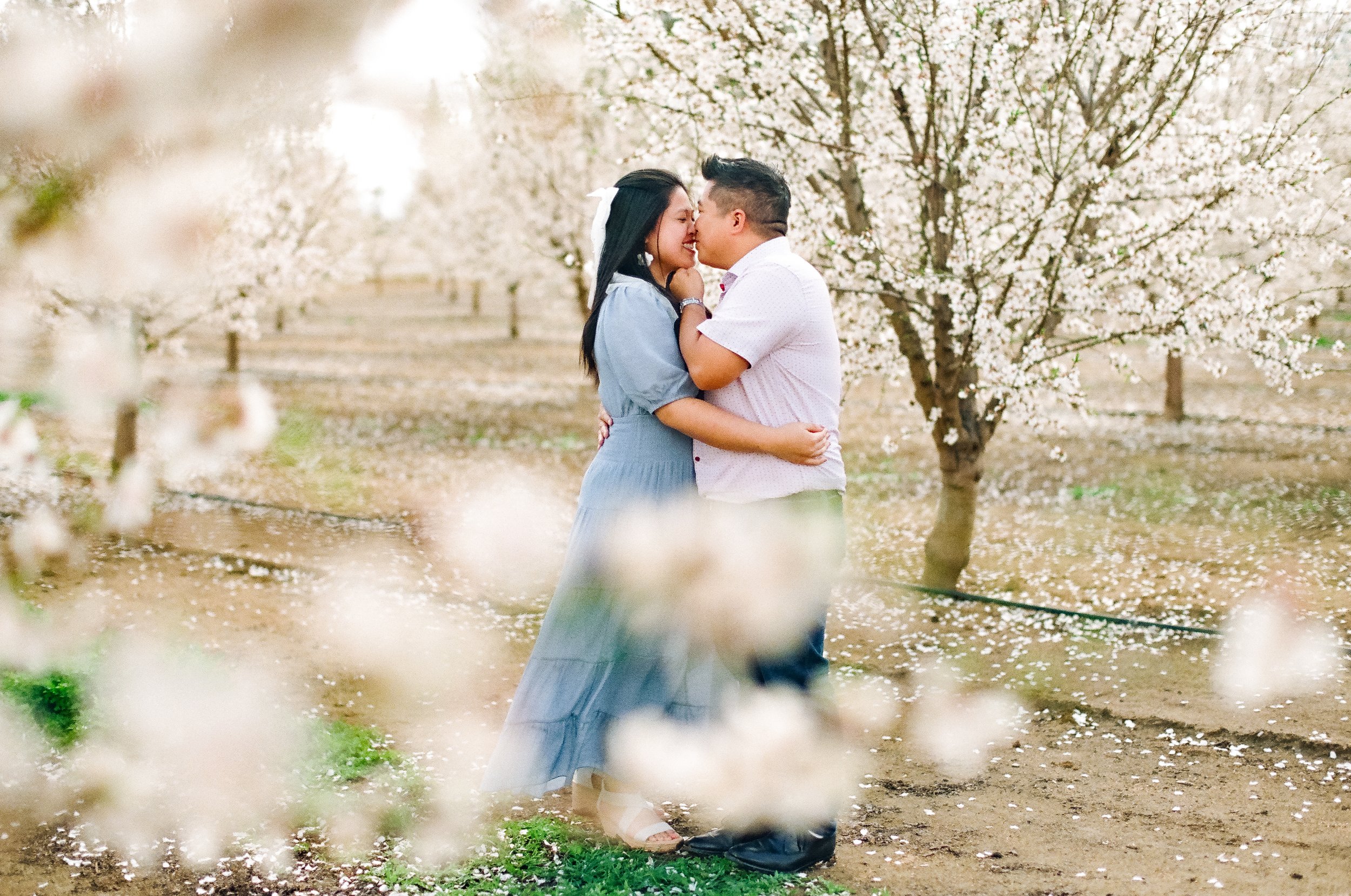 Almond Orchard Film-16.jpg