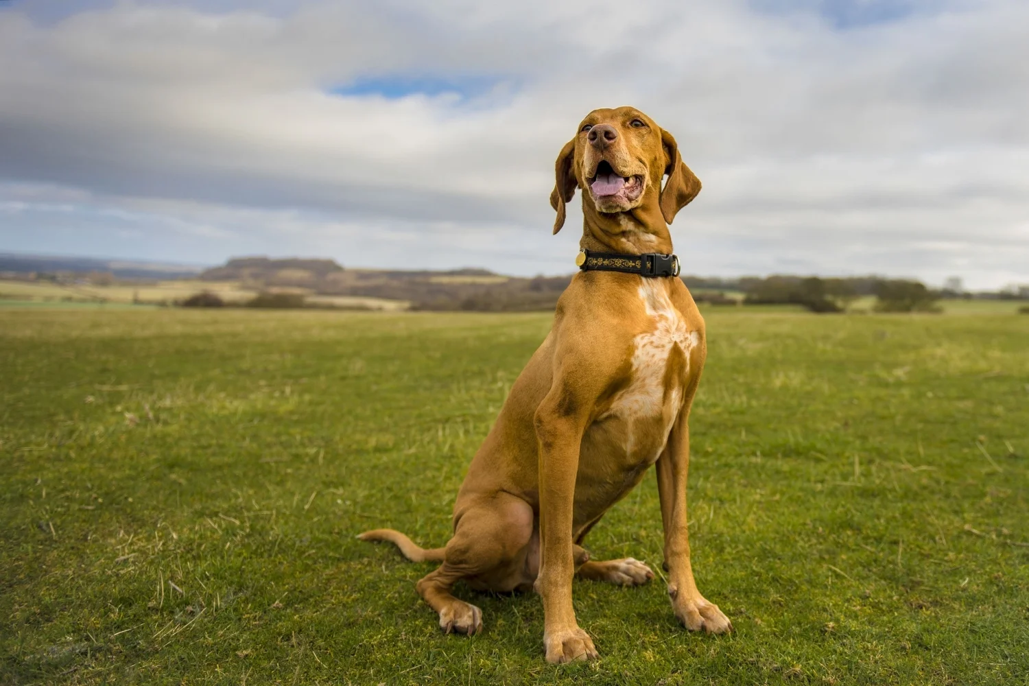 DSC_5436_1 copy_1.JPG