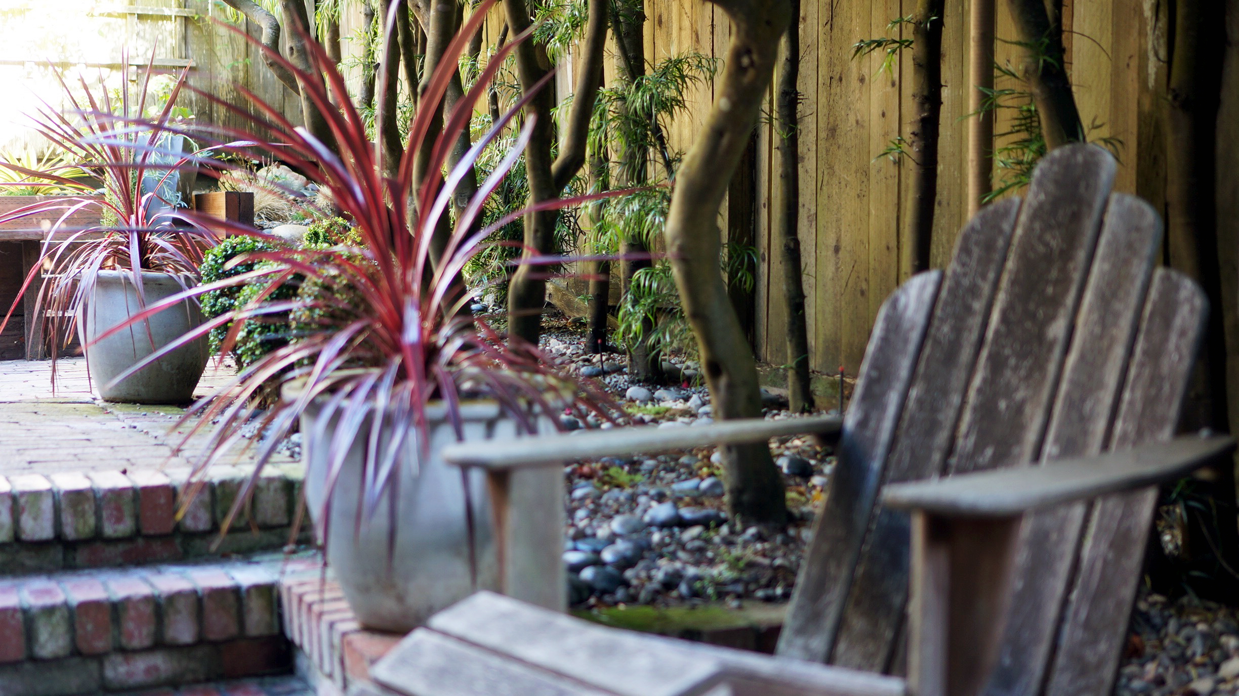 lexiesainedesigngarden.jpg