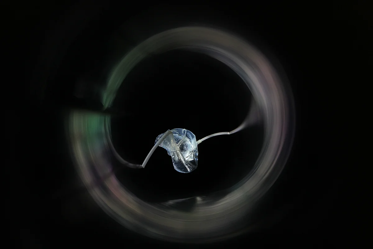 NEWSLETTER: COMPOSING COMMON WORLDS