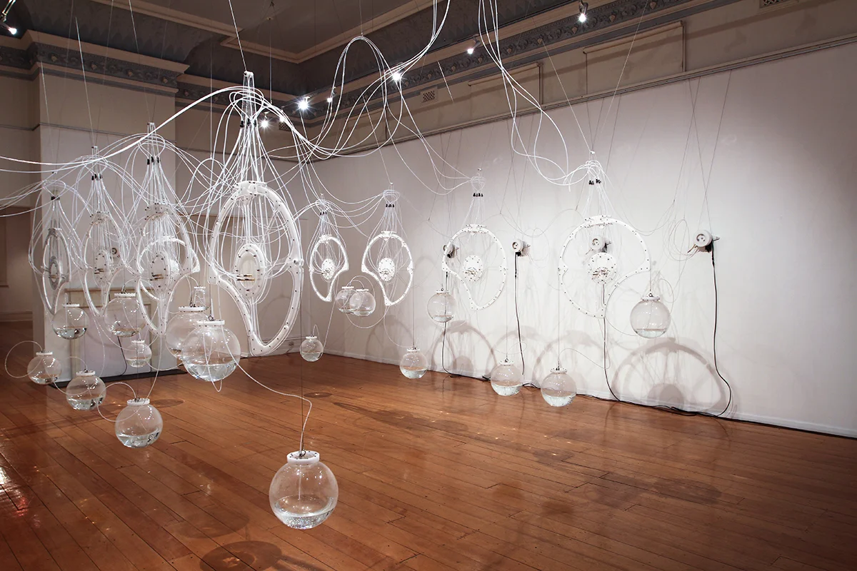 Catalogue Essay: Writhe