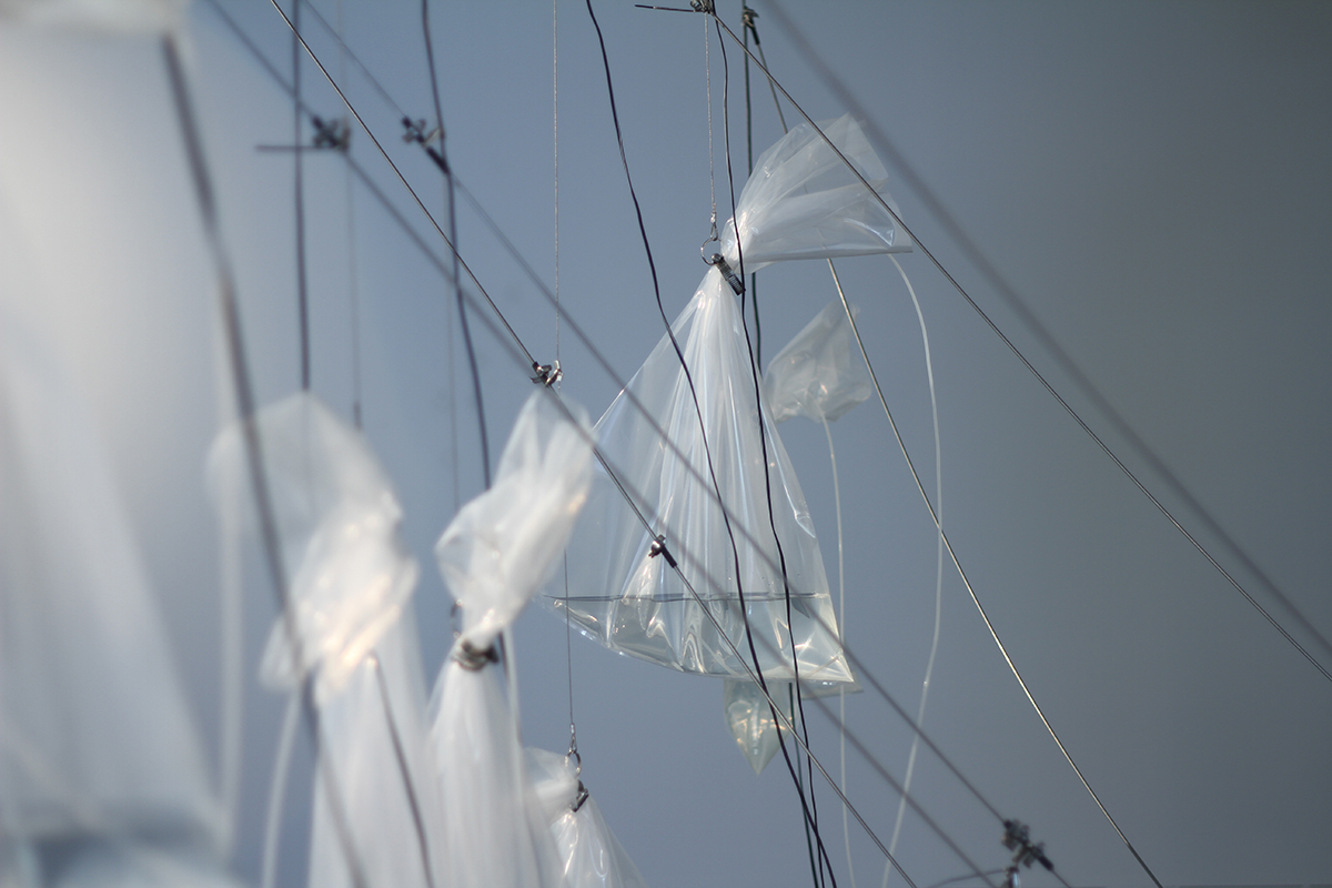 Web (Retrial) , 2012