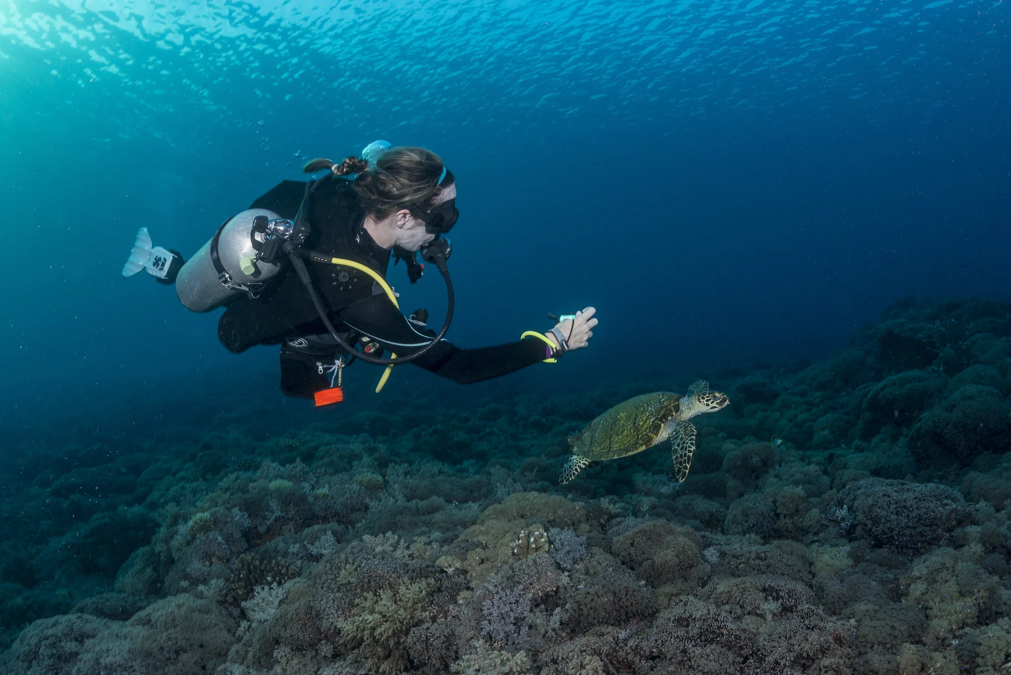 Lamave_Tubba_Underwater_low__1.jpg