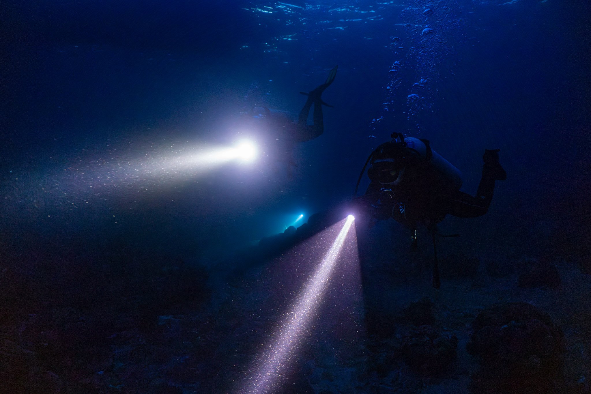 20241118_Proj_Cuttlefish_D8_DSC3947-Enhanced-NR-Edit.jpg