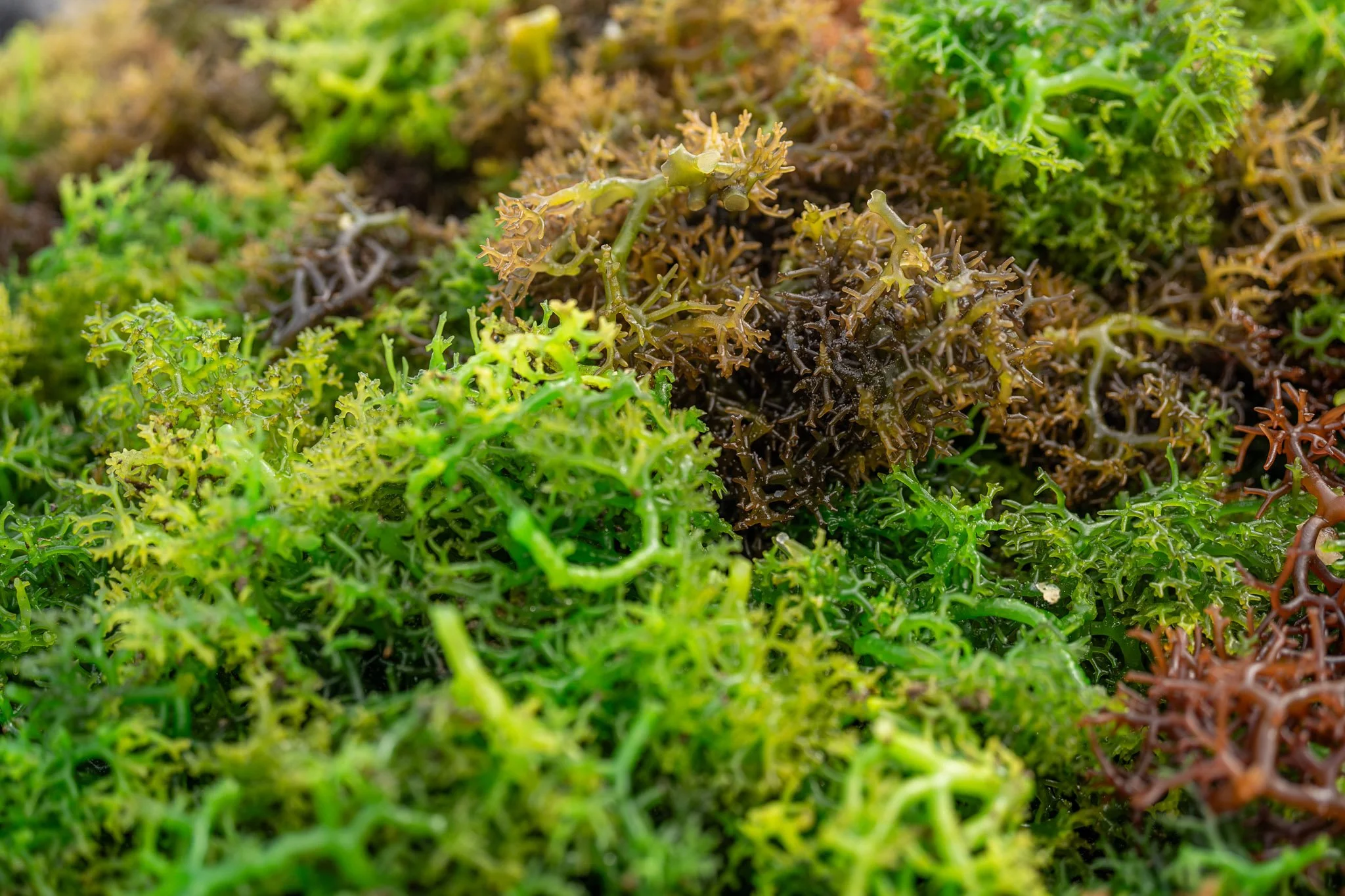 20240831_Earthshot_Topside_D2__DSC3939-Edit.jpg