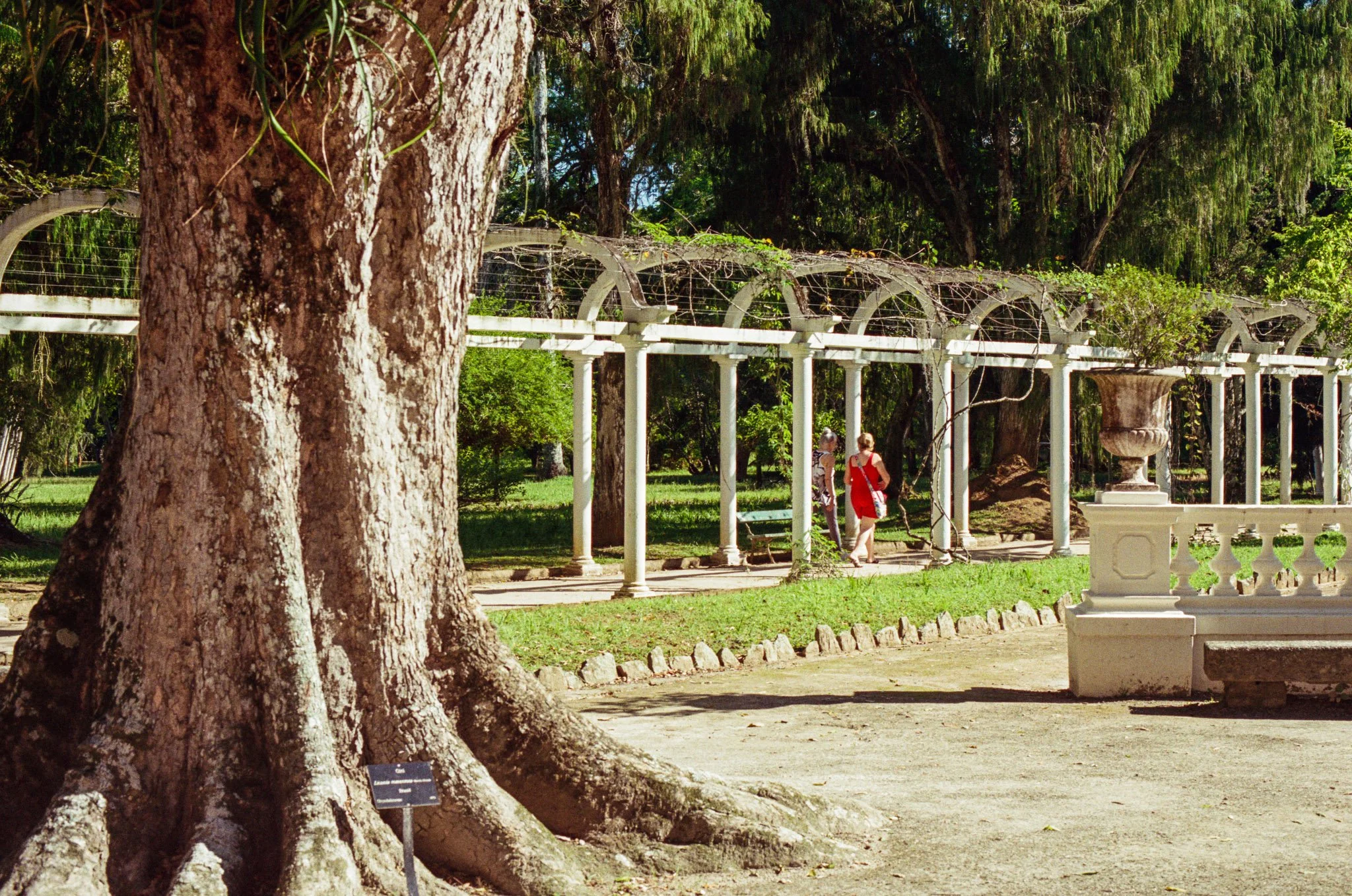 20251210_Rio_de Janeiro_Scan951984420_FM2_Portra400@320.jpg