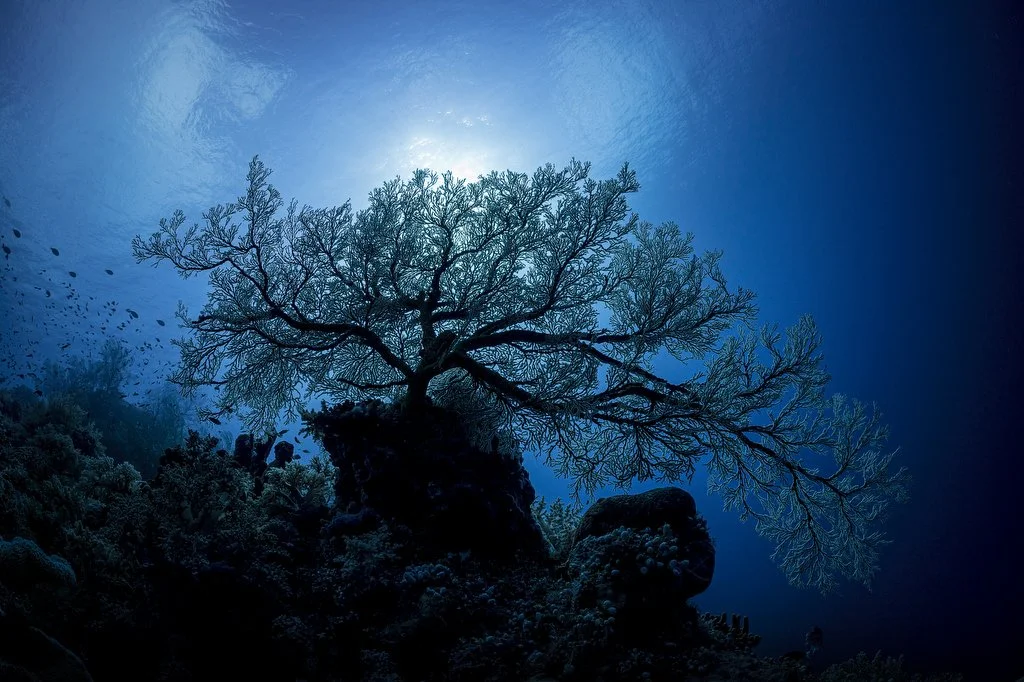 "As Above, So Below"