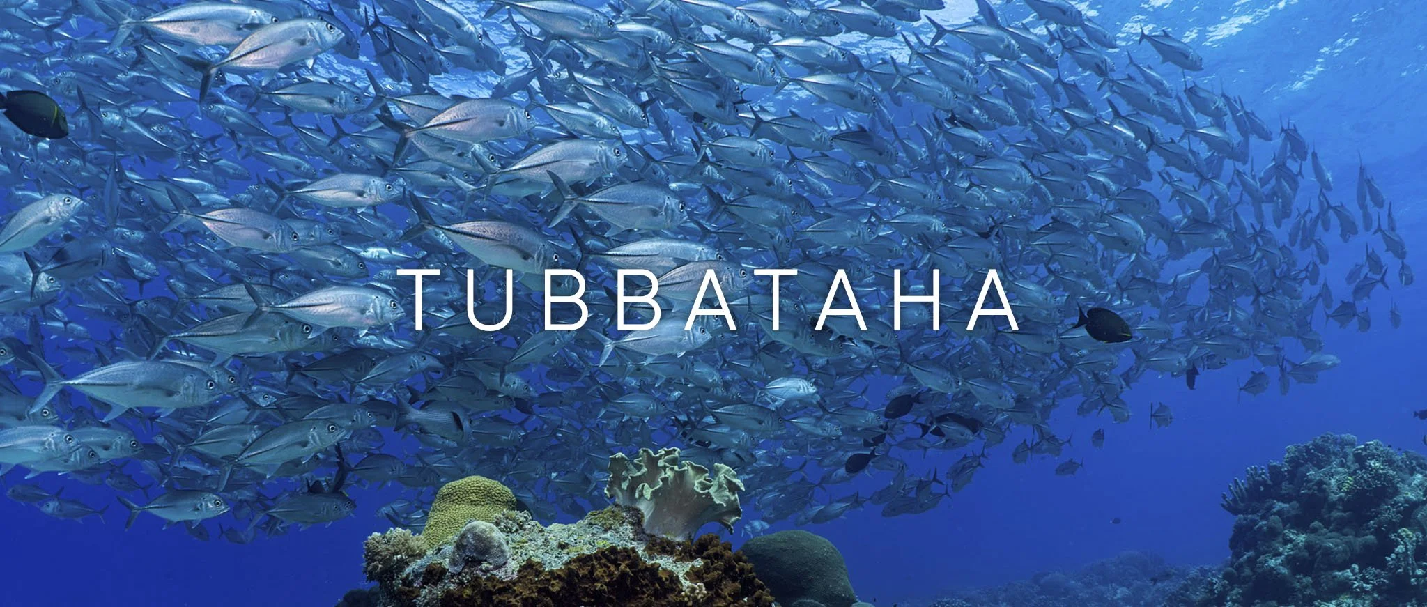 Tubbataha 2026 Nav.jpg