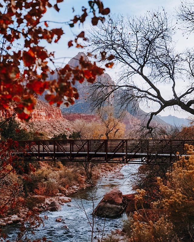 Zion National Park, Utah 🍁🍂
//
#visitUtah #discoverUtah #ZionNationalPark