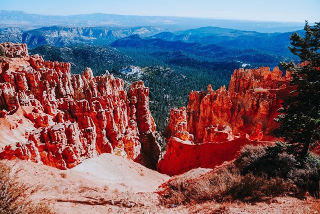 Welcome to Utah! 
Bryce Canyon National Park 🏜
#BryceCanyon #BryceCanyonNationalPark #Utah #WestCoast #AmericanRoadTrip
