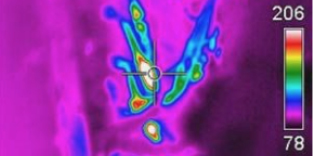 Thermographic survey - Marine