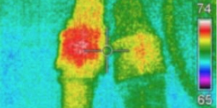 Thermographic survey - Marine