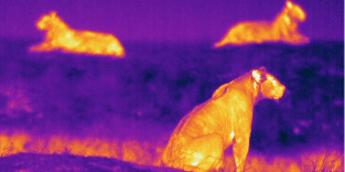 Thermal imaging - Film and video productions