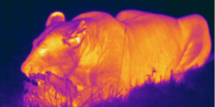 Thermal imaging - Film and video production