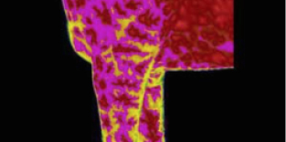 Thermal imaging - Equestrian