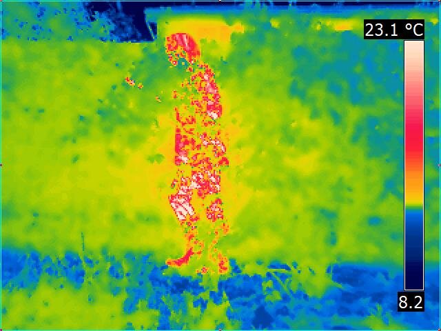 [Image: FLIR7038B.jpg]