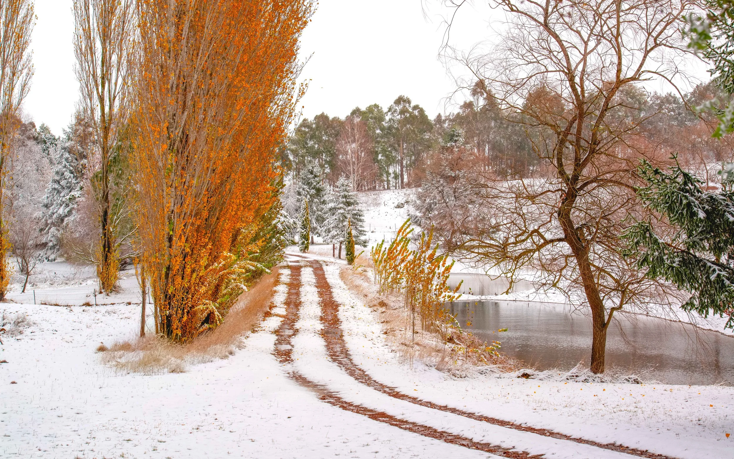 autumn snow.jpg