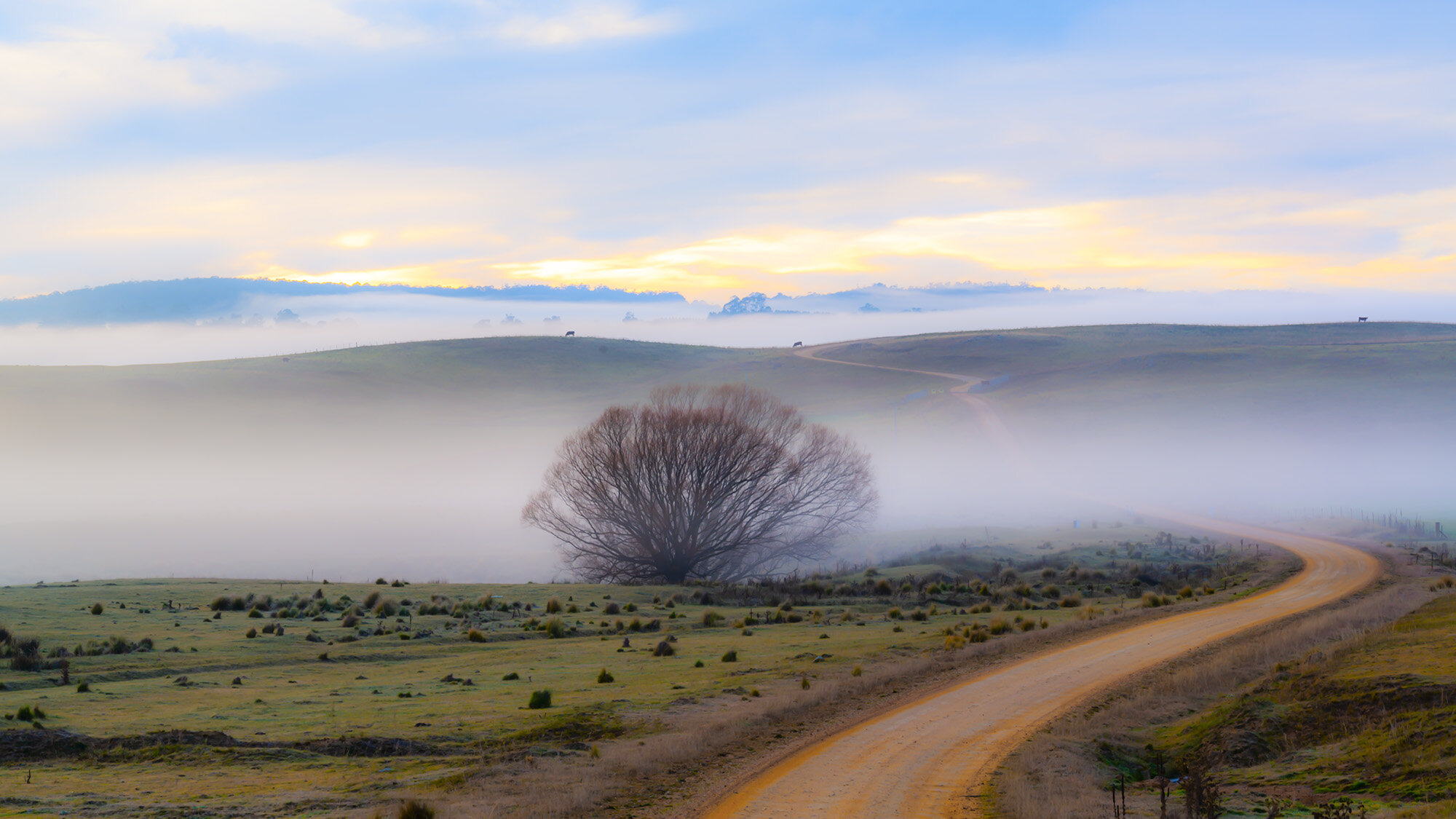 Country Road, near Bombala_1.jpg