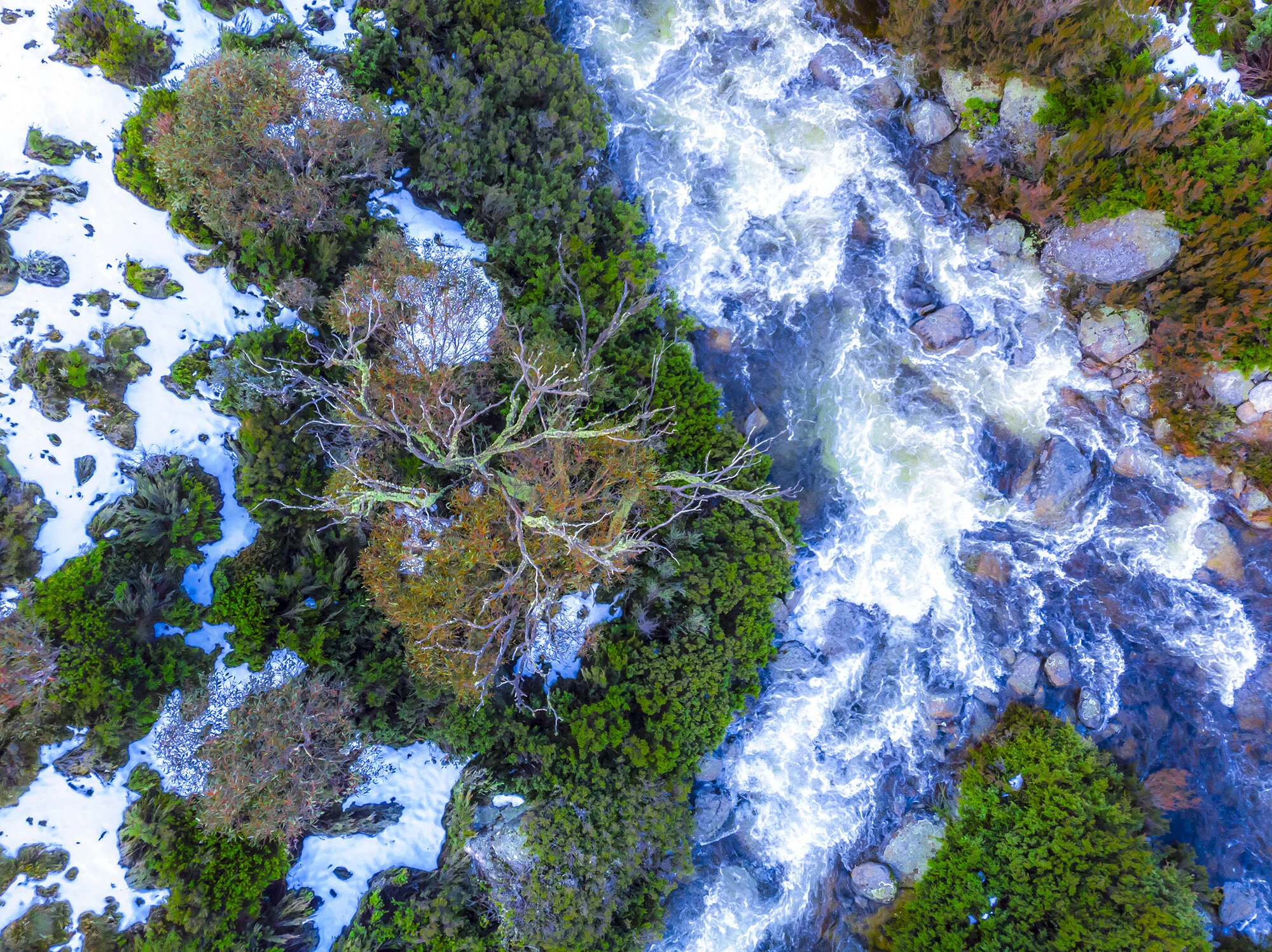 First snow Thredbo River_1.jpg
