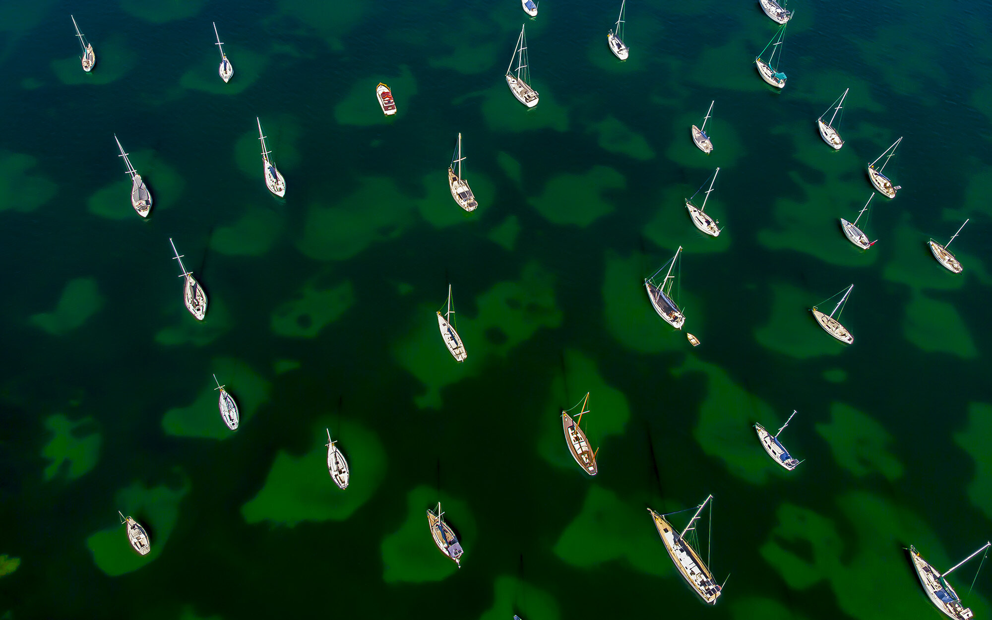 Lake Macquarie  Boats_1-2.jpg