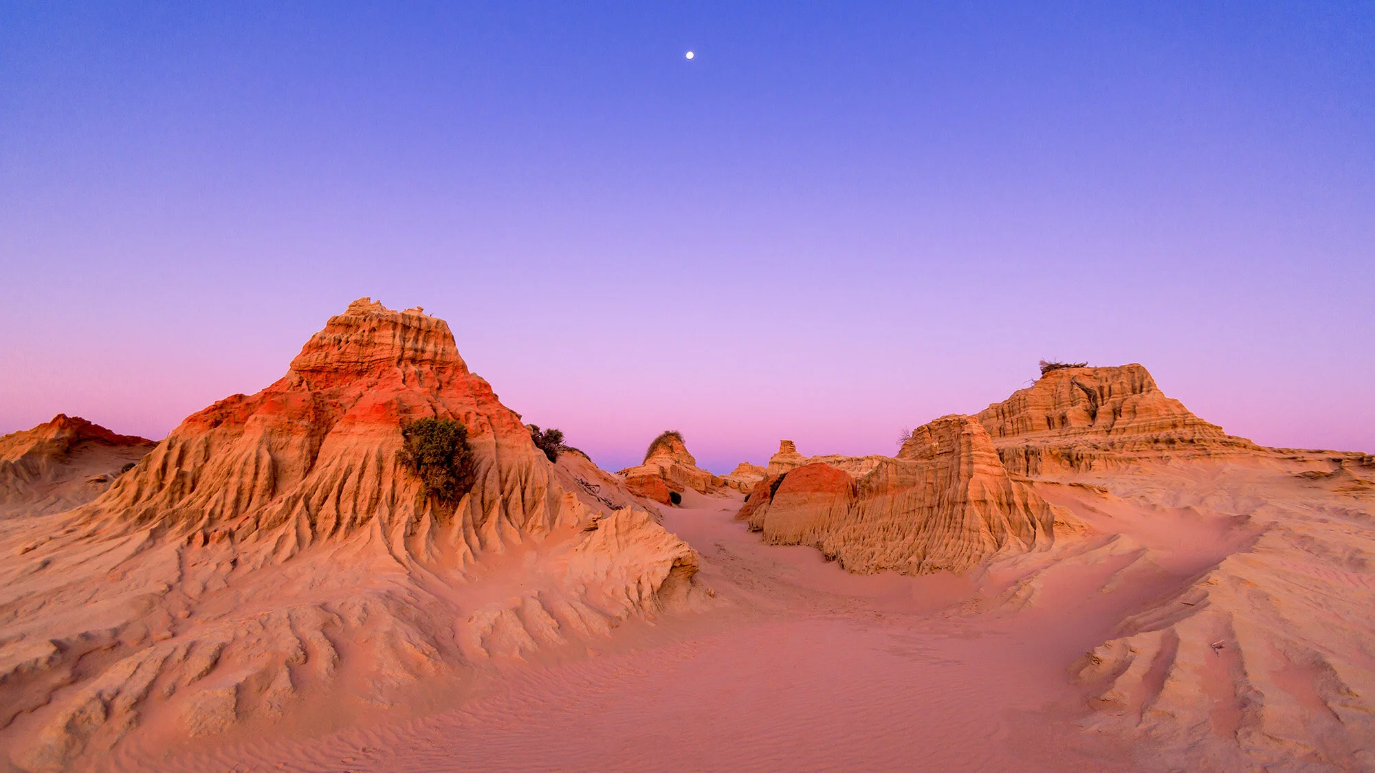 mungo moon replace_1.jpg