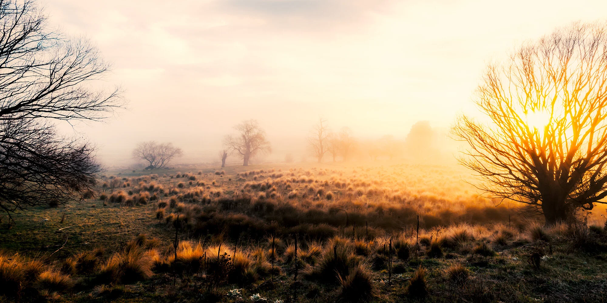 Golden Morning - Bombala.jpg