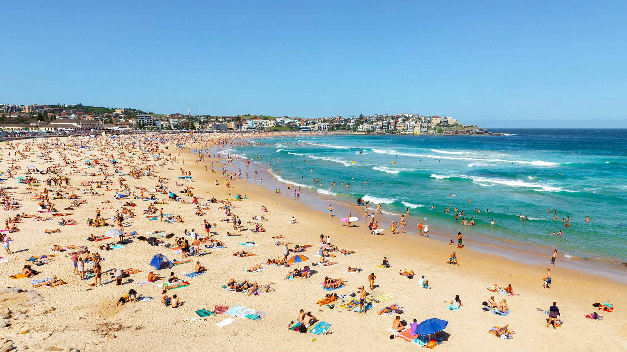 bondi_1.jpg