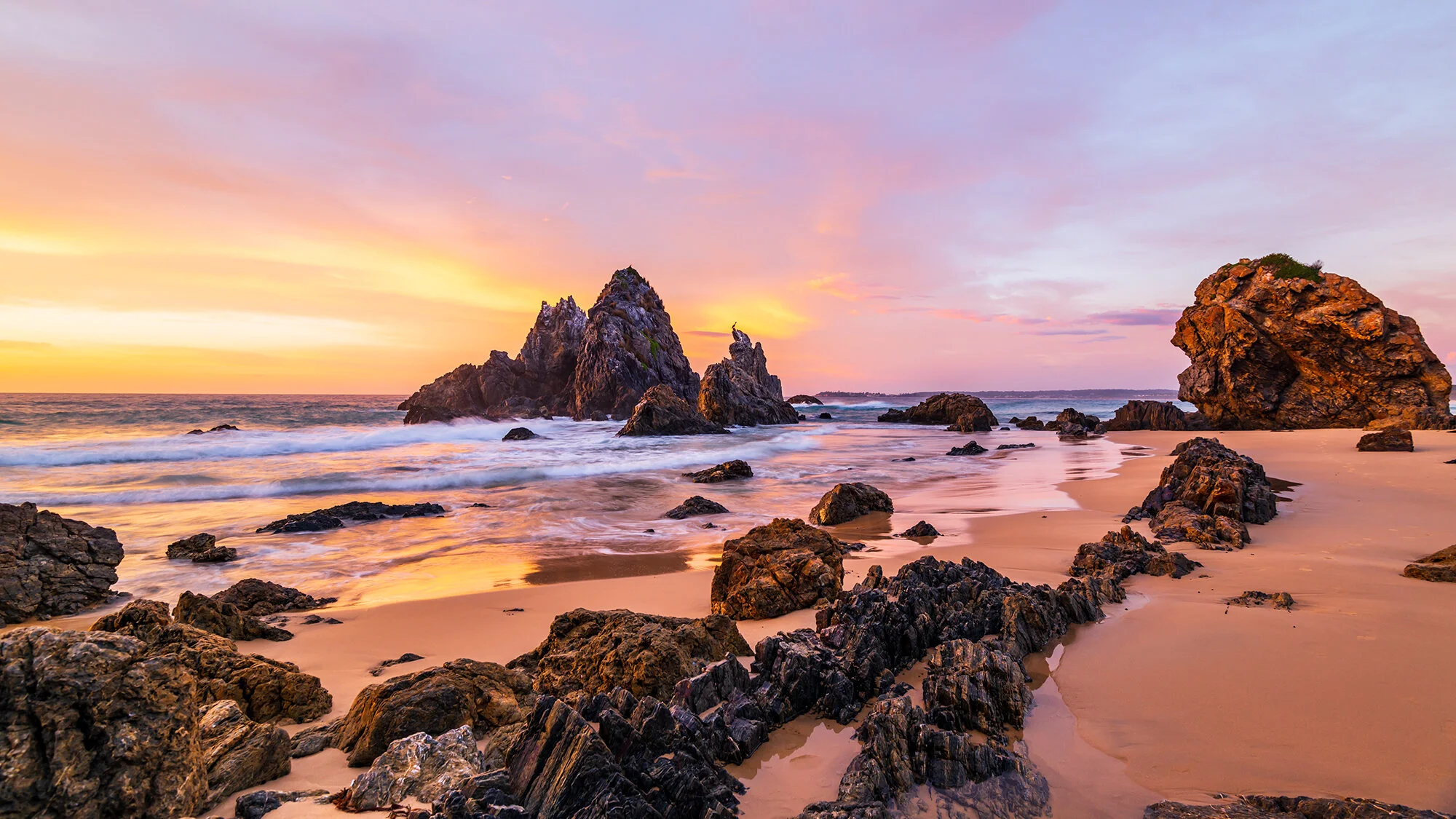 sunrise birds_1-4.jpg