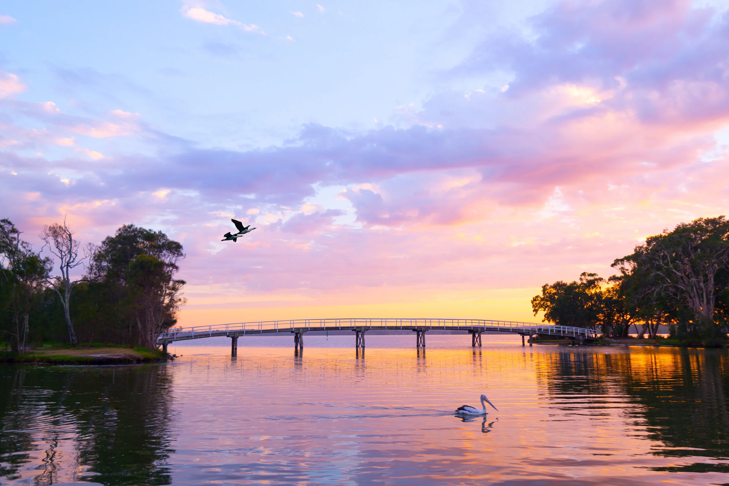 budgewoi bridge_2.jpg