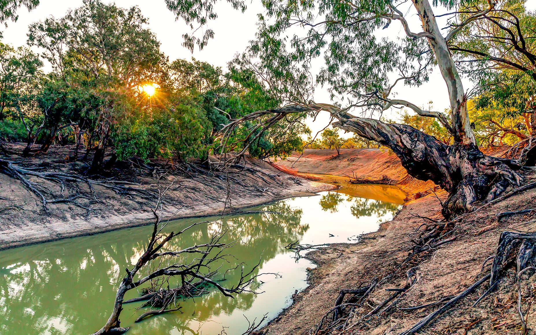 Darling River Trilby 4-Edit1.jpg