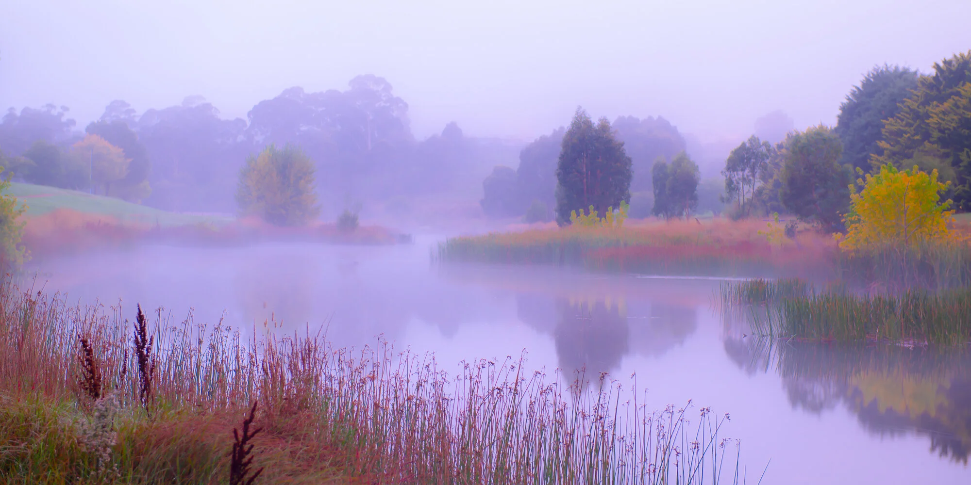 untitled-87.jpg