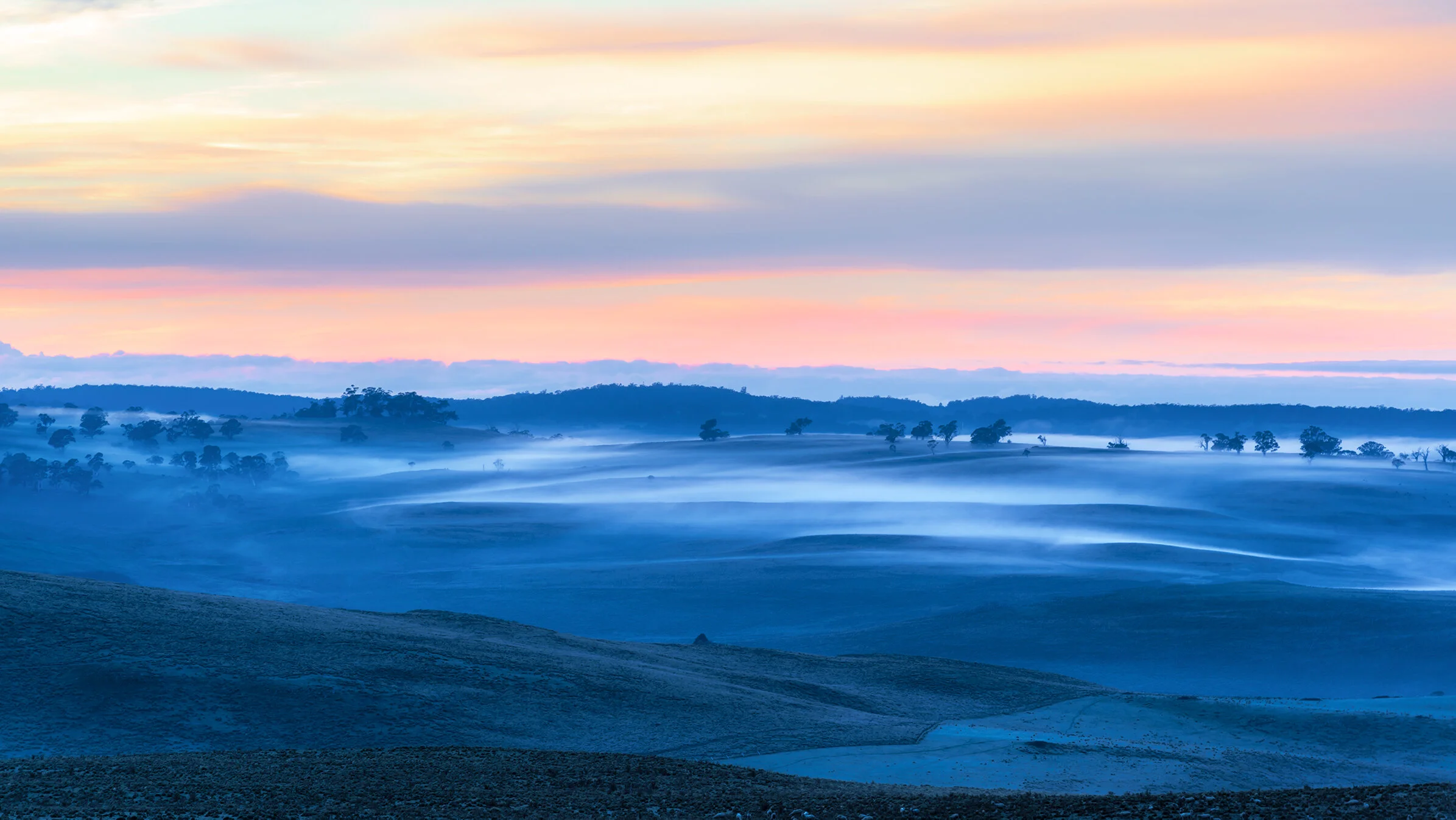 bombala morning.jpg