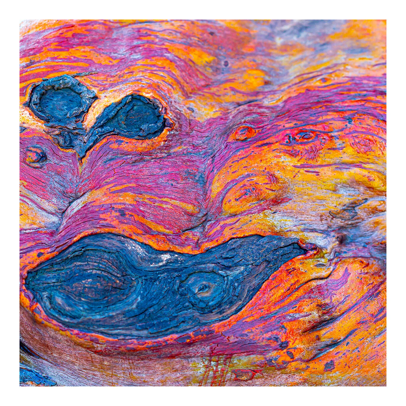 gumtree art.jpg
