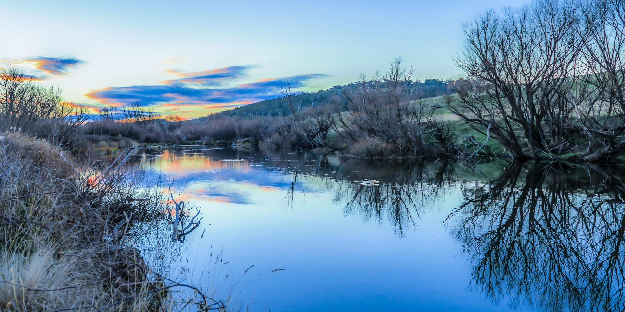 platypus river 2.jpg