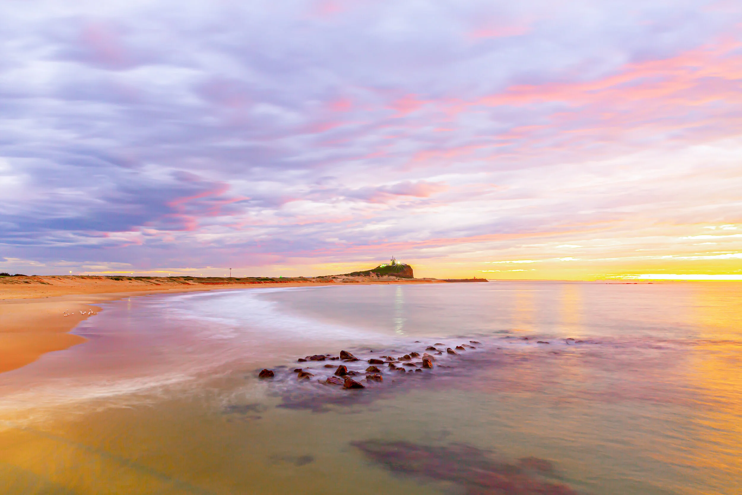 nobby dawn light.jpg