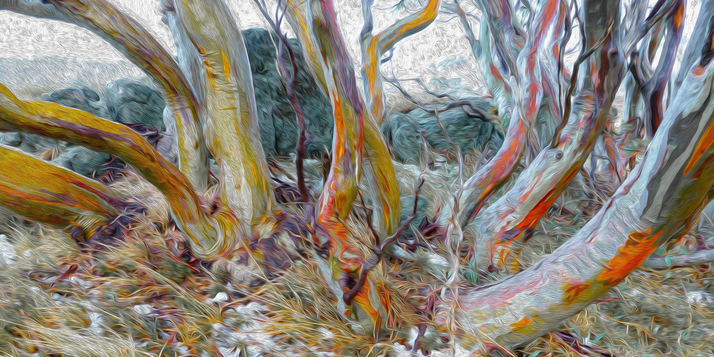 Snow Gum Abstract