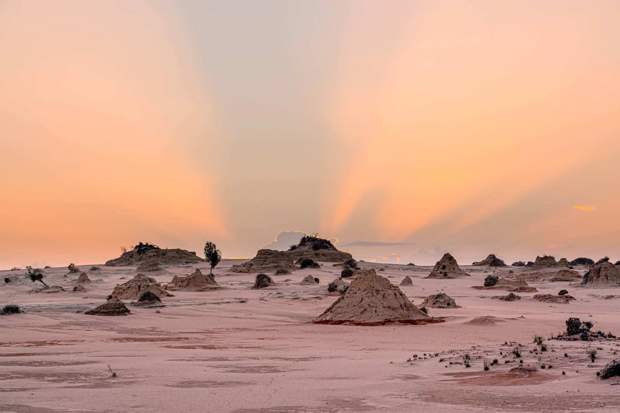 Mungo Dawn