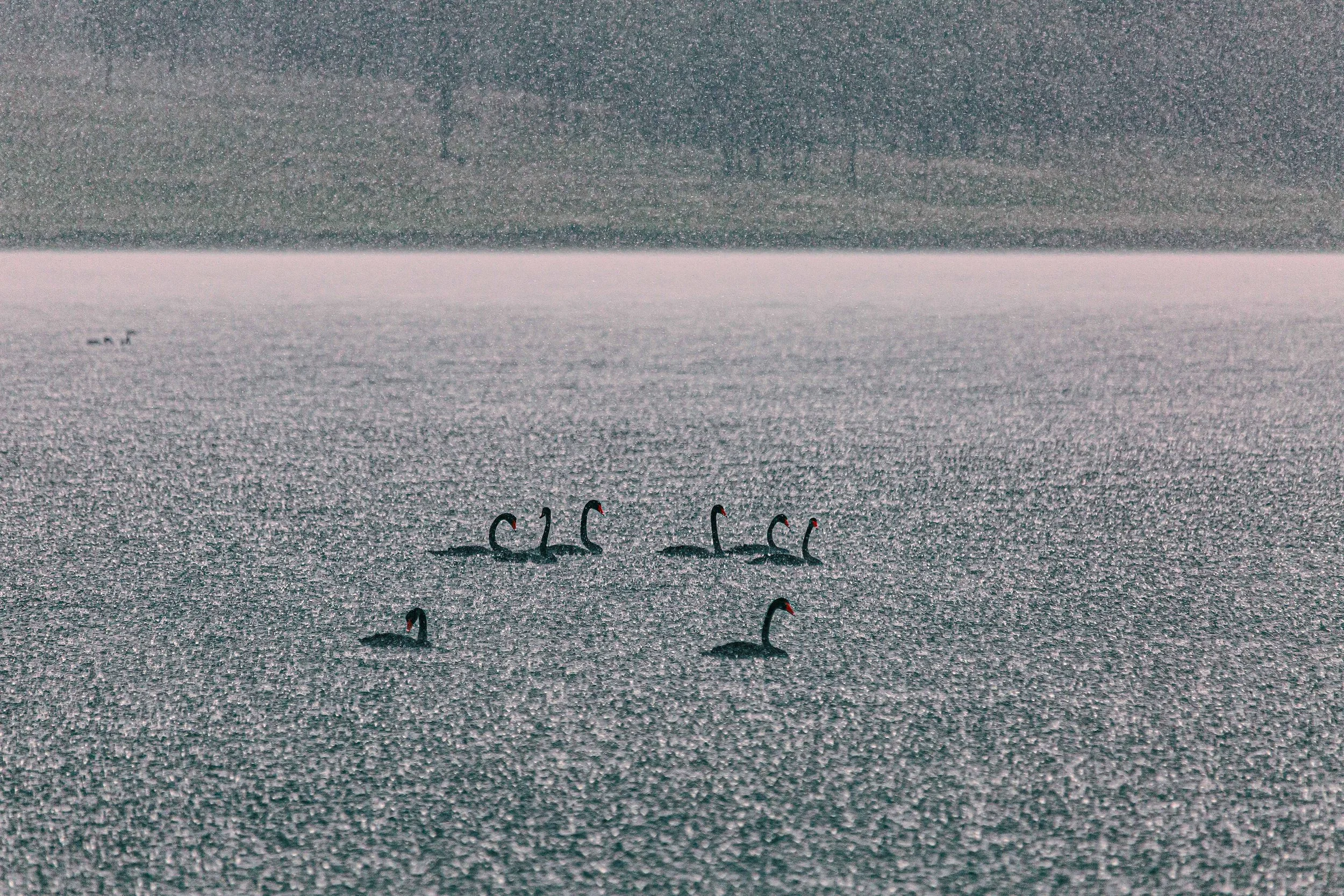 Rainstorm
