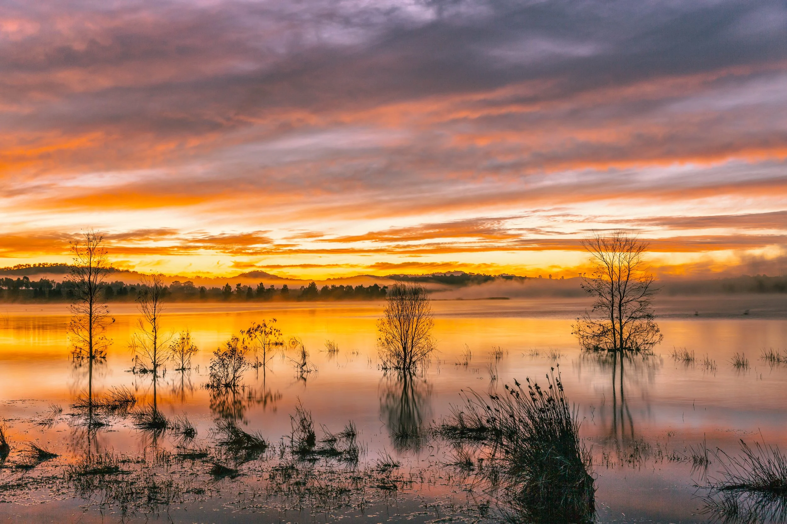 On Golden Pond