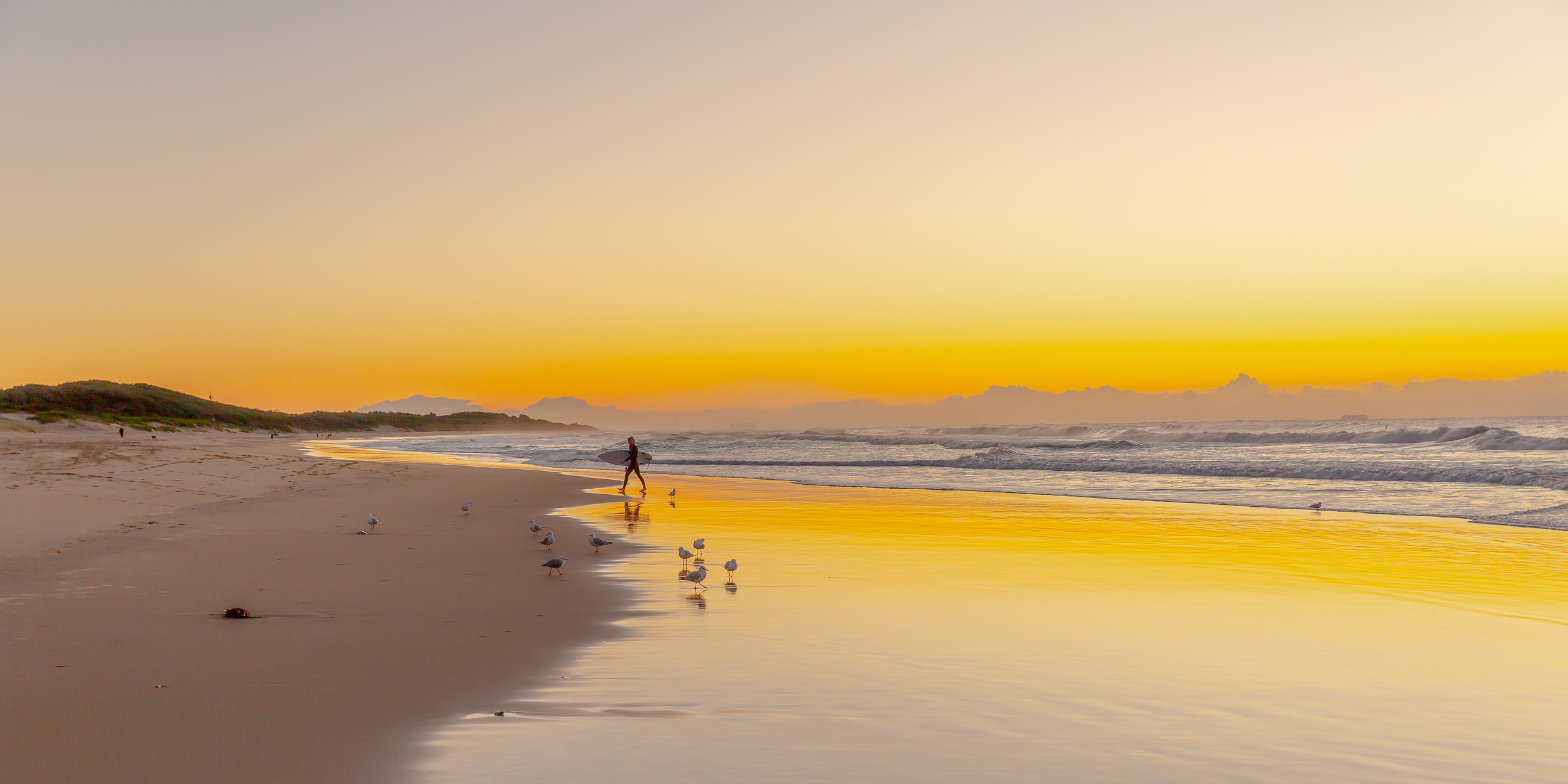 The Morning Surf