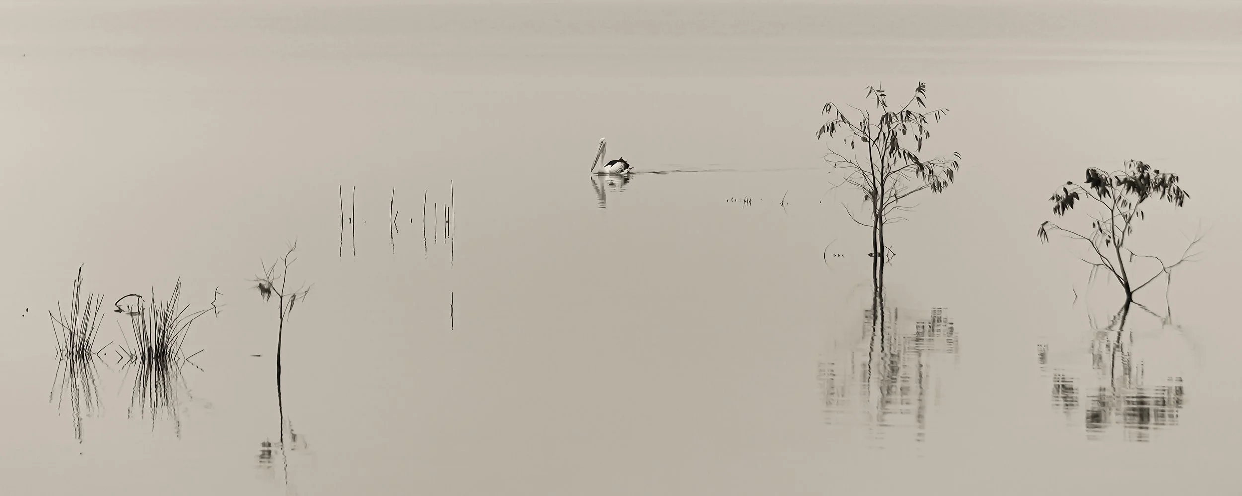 Calm Waters