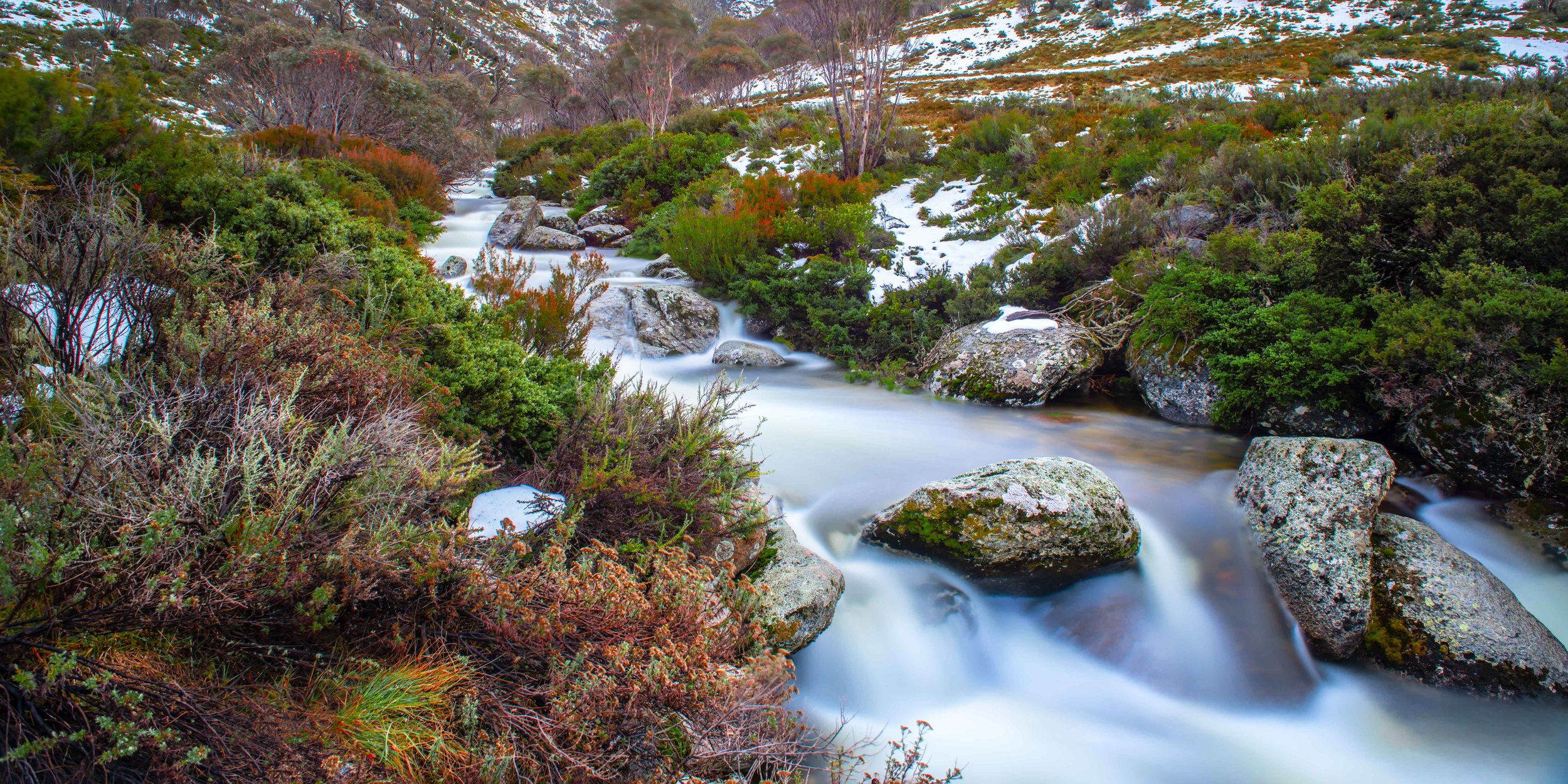 Spring Thaw