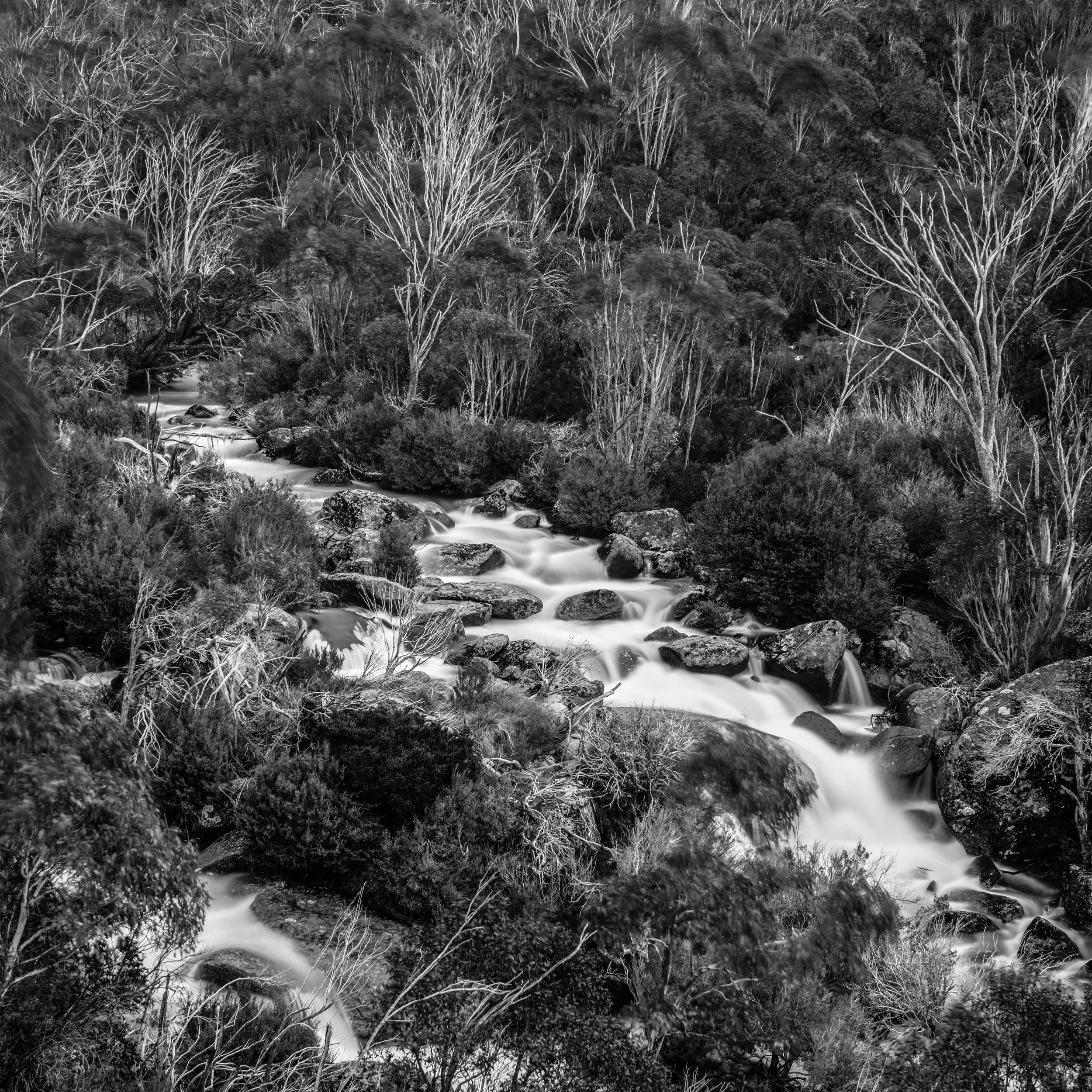 Thredbo River
